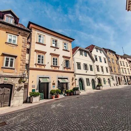 Apartment Way To The Castle